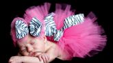 tutu zebra + headband
